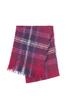 Checked Scarf