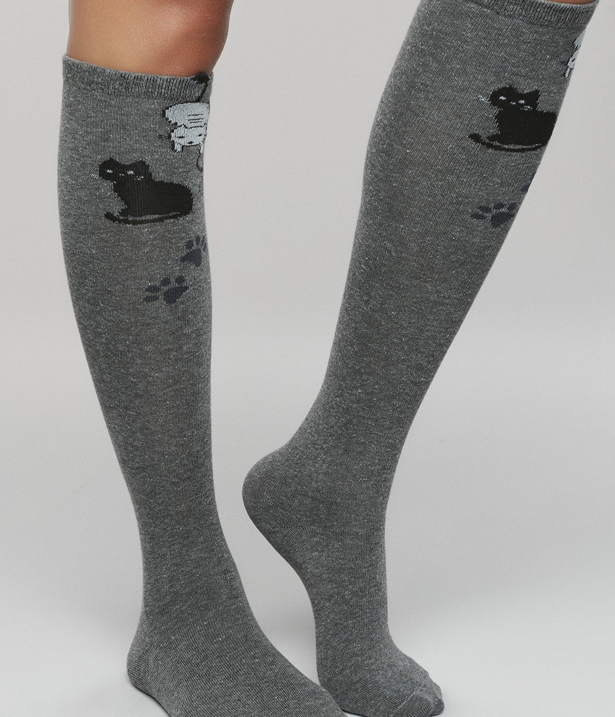 Ciorapi Pantalon Cat