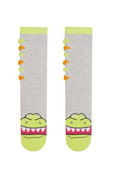 Boys Crocodille Socks