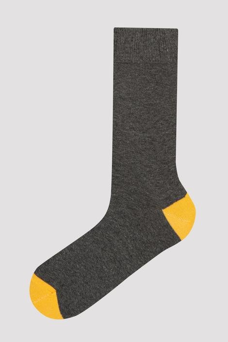 Men Color Line 3In1 Socks