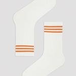 Colorful Stripe 3in1 Socks