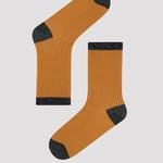 Multi Colour Shiny 3in1 Socket Socks