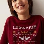 Unisex Lic Hogwarts Fam Long Sleeve Set Pijama