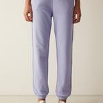 High Rise Active Lilac  Jogger