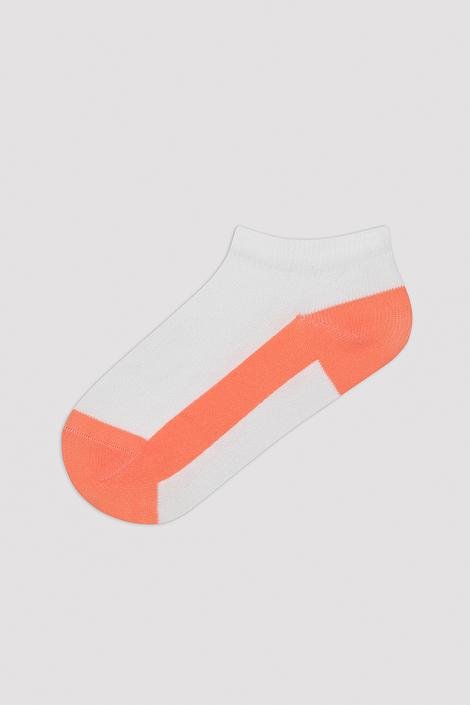 Boys Colorful 4in1 Liner Socks