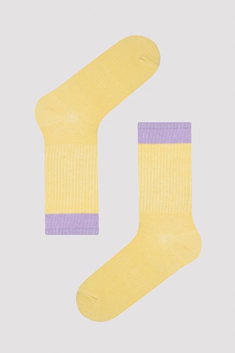 Color Blocked 3in1 Socket Socks