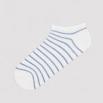 Colored Line 5in1 Liner Socks