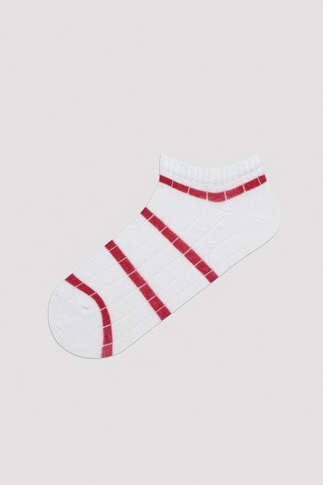 Basic Line 5in1 Liner Socks